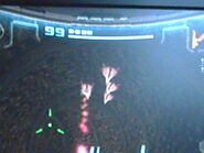 Grupo de esporoides en el acceso a la sala de entrenamientos.