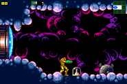 A Missile Tank in Metroid: Zero Mission.