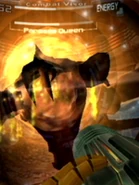 The fourth slideshow image.