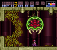 The sandy area where the Big Metroid is kept