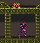 The Hzoomer in Super Metroid