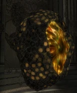 Gragnol Hive (598 KB) Gragnol Hive, a hive holding Gragnols, essentially the Bryyonian equivalent of War Wasp Hives