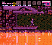 Ridmouth.gif (41 KB) The entrance to Ridley's Hideout in Super Metroid