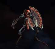 Mp3 shield pirate militia.png