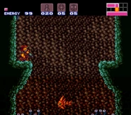 The unique orange Skultera in Super Metroid.