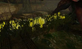 Hierbas tóxicas de Flaahgra