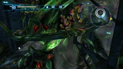 Biosphere central chamber ascension HD