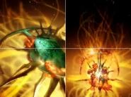 Acquired by only defeating Gorea's first phase.