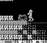 A Metroid husk in Phase 8