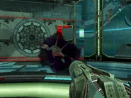 A Dark Pirate Commando appears.