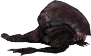 Krocuss2.png (67 KB) Model