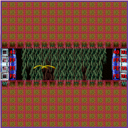 Worm hive SMILE