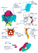 Fusionsuit concept1.png (241 KB) Fusion Suit