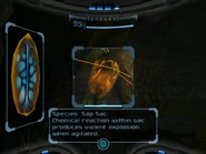 Sap Sac Scan Images Dolphin HD.jpg (447 KB) Scan image