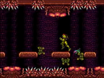 Samus in Lower Brinstar.