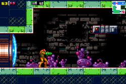 Cactus path.png