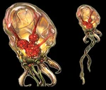 Изображения с официального сайта