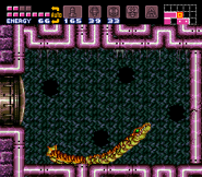 The Botwoon in Maridia