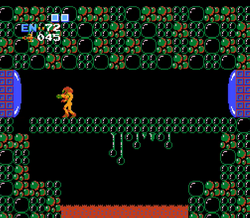 Single-block-wide bridge Metroid