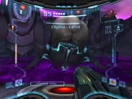 Chykka Larva.jpg (33 KB) The Chykka Larva attacks Samus.