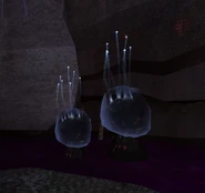 Ingsphere Caches are immune to the effects of Dark Water.