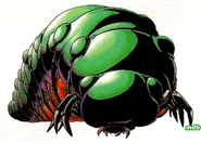 Изображение Личинки Жука.