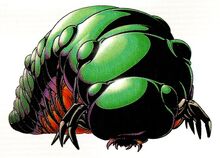 Kirugiru larva.jpg