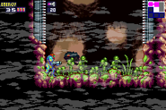 Normal Hornoads from an X Spawn jumping in the background will enter the foreground when infected.