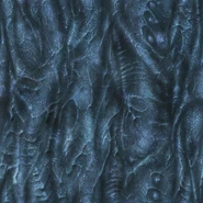 "MP3 Texture Sample"