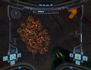 Subchamber 4 Red Phazon Wall.png (365 KB) A wall of Red Phazon seals the hole from Subchamber Three, preventing current escape.