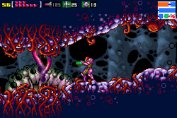 Tangle2.png