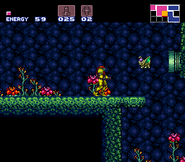 Geega en Super Metroid