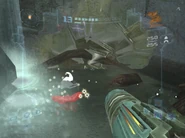 Krocuss Sonic Boom.png (976 KB) Two Krocuss damaged by the Sonic Boom.