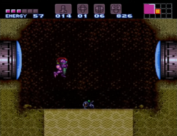 Bug Sand Hole