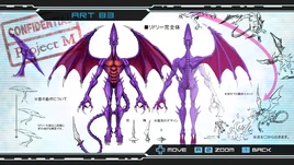 Adult Ridley