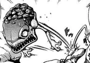 Hornoad in the manga