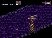 Brinstar shrooms