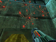 Weeds as seen on Arcterra.