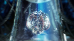 MB first form.png
