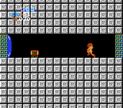 Artificial Passage Metroid