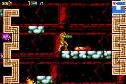 Polyp.png