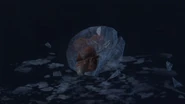 The baby Metroid after being frozen.