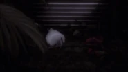 Little Birdie playing dead.
