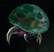Metroid Talloniano1.png (180 kB) Metroid Talloniano