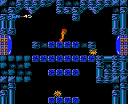 Fake Block shaft in Metroid