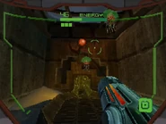 The labyrinth's entrance.