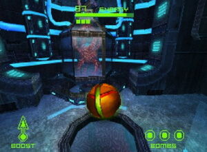 Cortex Chamber