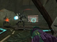 Torvus Grove Laser Barrier Commando Pirates.png (396 KB) Two Pirate Commandos in Torvus Grove.