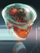 Dibujo de Sammy Hall hecho en 2005.