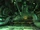 Reactor Room